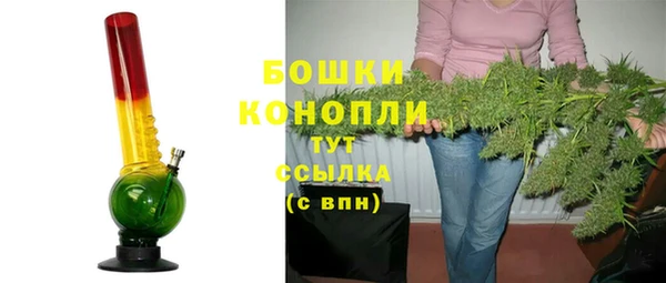 хмурый Горно-Алтайск