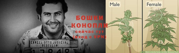 кокаин Гусиноозёрск